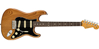 Fender0113900763