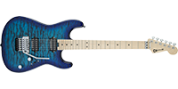 Charvel2965131599	